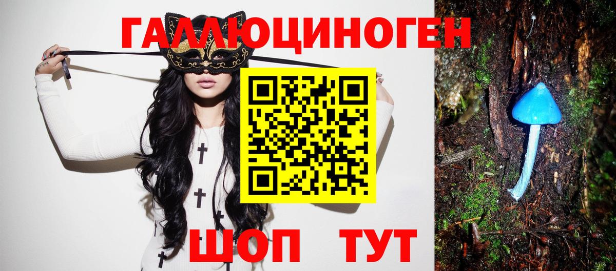 Псилоцибиновые грибы Psilocybine cubensis  Вход с VPN  Бердск 